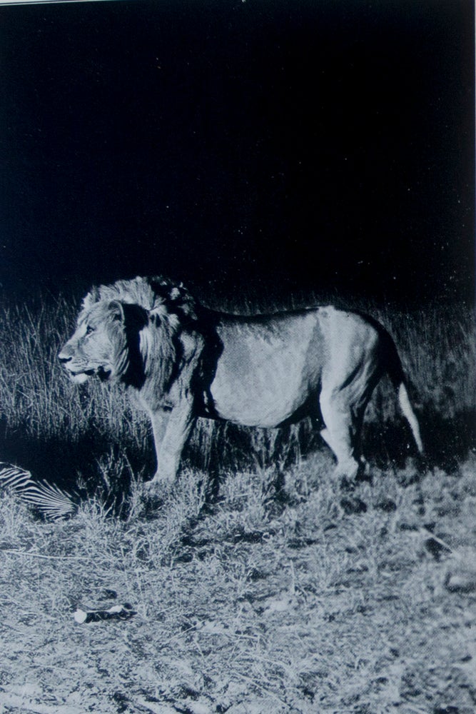 Item #10046 Camera Adventures in the African Wilds Being an Account of a Four Months' Expedition in British East Africa, for the Purpose of Securing Photographs of the Game from Life. A. Radclyffe Dugmore.