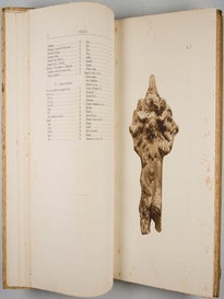 Monuments de l'Égypte Gréco-Romaine Publiés par la Sociéte Royale d'Archeologie d'Alexandrie sous les Auspices de sa Majesté Fouad Premier Roi d'Égypte: Tome Deuxième (Volume II: Part I and II)