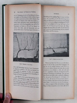 Der Wein von der Rebe bis zum Konsum nebst einer Beschreibung der Weine aller Lander (About wine from the grape to consumption, with a description of wines world wide)