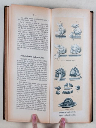Die Wiener Bürger-Küche (The Vienna Civic Cuisine)