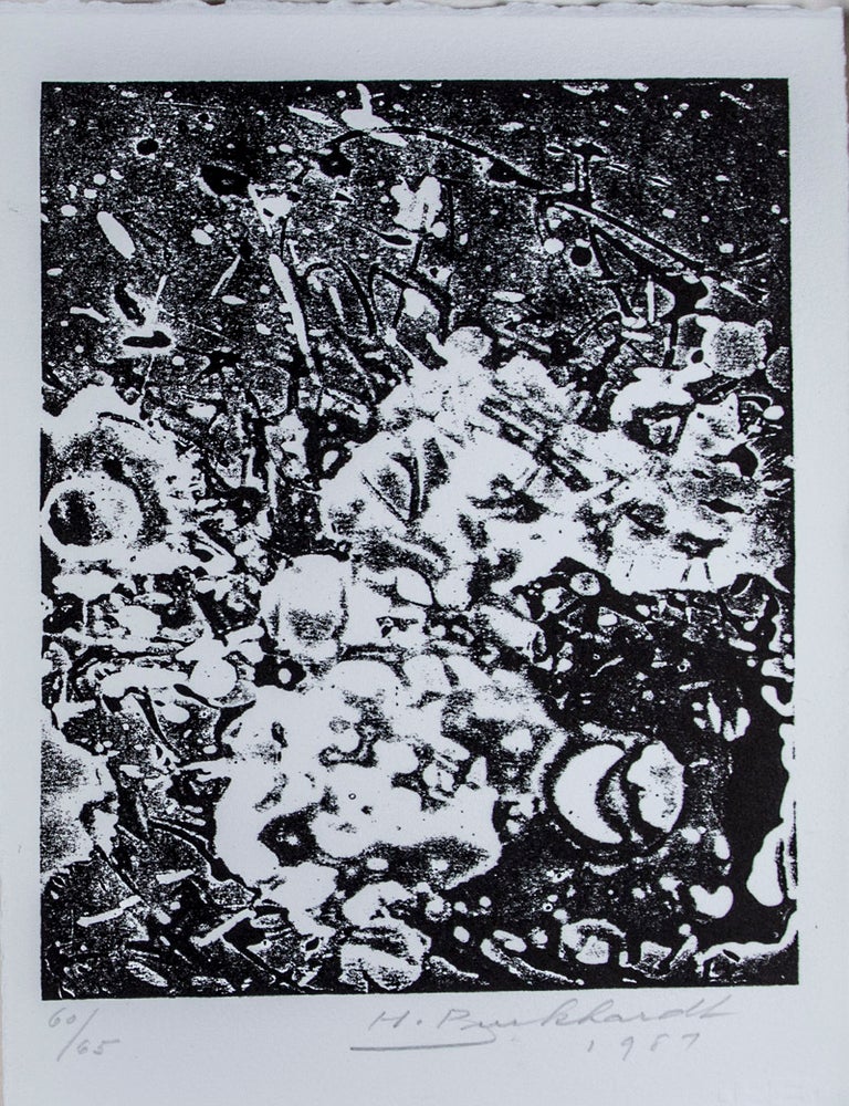 Item #16434 Husks of Wheat [SIGNED & INSCRIBED]. Diane Wakoski.