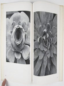 Die Welt der Pflanze: Band II, Crassula