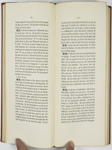 Section III: Palestine (Hebrew), Vol. 1. The Exempla of the Rabbis