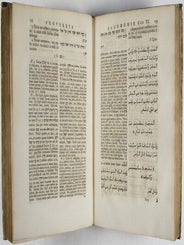 Proverbia Salomonis. Versionem integram ad Hebraeum fontem expressit, atque commentarium adjecit Albertus Schultens.