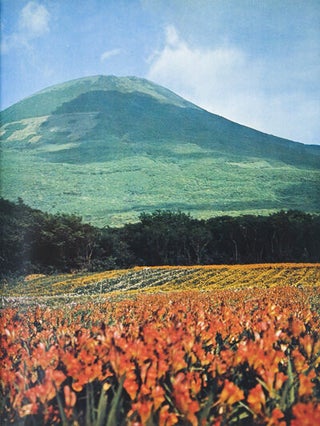 Hachijo: Isle of Exile