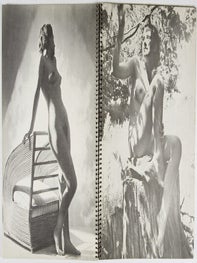 The Form Feminine