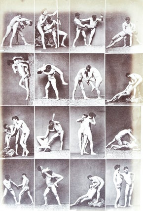 Item #22091 19th century Album of 35 photographic prints with 570 images: nude studies of...