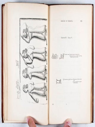 The Monuments of Assyria, Babylonia, and Persia: With A New Key for the Recovery of the Lost Ten Tribes.