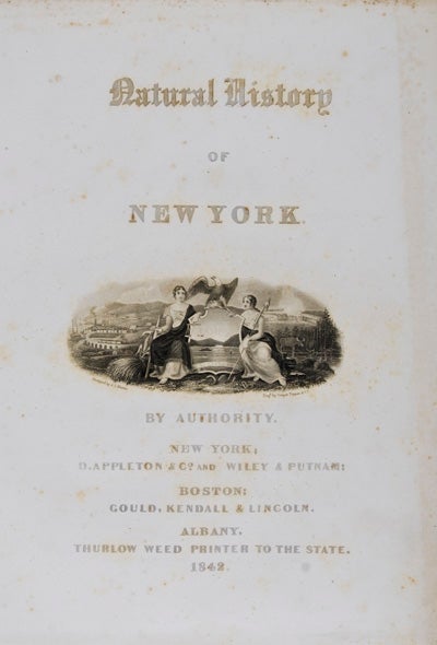 Item #22388 Natural History of New York: Mineralogy of New-York. Lewis C. Beck.