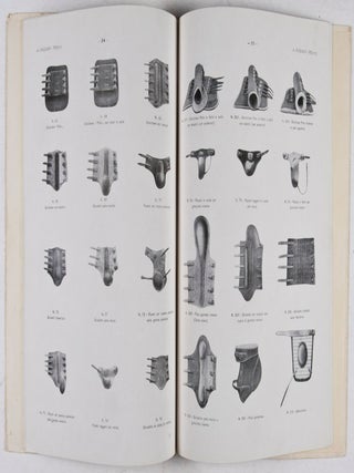 A. Pariani: Horse Saddles and Bridle Catalog