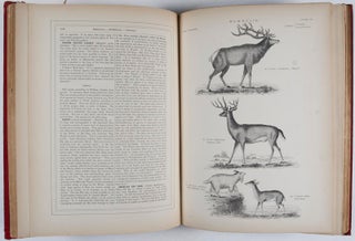 History of the American Fauna and a General Natural History of the World. [3 VOLUME-SET]