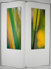 Gras