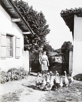 Item #24633 Banater Schwaben in Südfrankreich [ORIGINAL PHOTOGRAPHS]. Leif Geiges