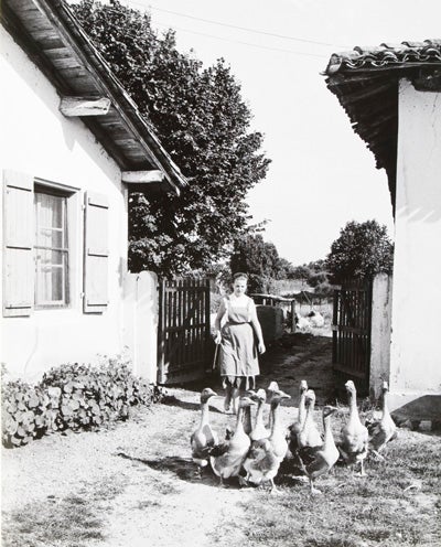 Item #24633 Banater Schwaben in Südfrankreich [ORIGINAL PHOTOGRAPHS]. Leif Geiges.