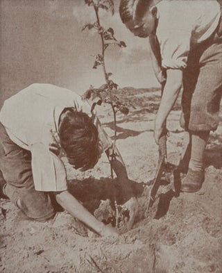 Joodse Kinderliedjes