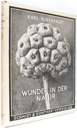 Wunder in der Natur: Bild-Dokumente schöner Pflanzenformen