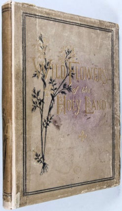 Wild Flowers of the Holy Land