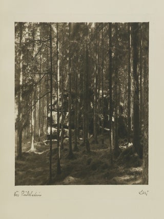 Twenty Photogravures Signed by Adolf Lazi with Original Manuscript Letter & various related Ephemera (Presentation Copy)