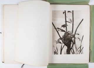Pictures From Nature: Fifteen Rembrandt Photogravures of Birds and Beasts at Home Amidst Their Natural Surroundings Reproduced From Photographs