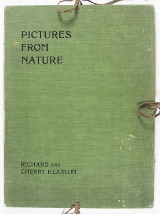 Pictures From Nature: Fifteen Rembrandt Photogravures of Birds and Beasts at Home Amidst Their Natural Surroundings Reproduced From Photographs