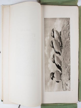 Pictures From Nature: Fifteen Rembrandt Photogravures of Birds and Beasts at Home Amidst Their Natural Surroundings Reproduced From Photographs