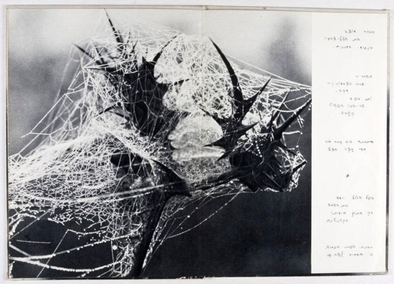 Peter Merom The Dew: Impressions in Black and White - La Rosée: Impressions en Noir ...