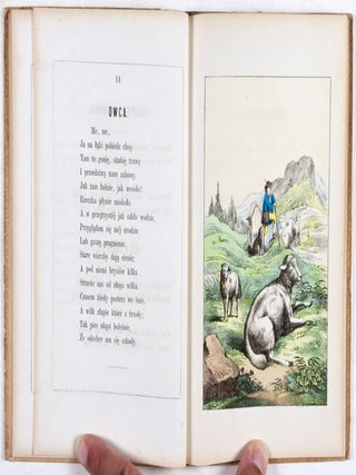 Wiazanka: Ksiazka z Obrazkami dla Dzieci (Melange: Picture Book for Children)