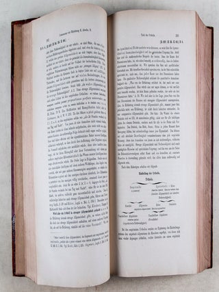 Commentar zu Kants Kritik der reinen Vernunft. 2 volumes bound in one (Complete)