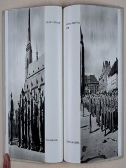 American Army of Plzen