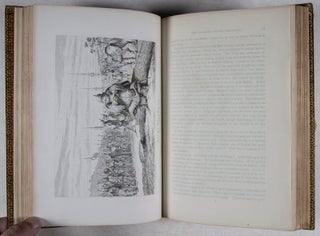 The Life of Sir John Falstaff: A Biography of the Knight from Authentic Sources