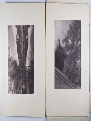 Bilder aus Schwaben. 15 Originalaufnahmen. Schwarzwald u. Donautal