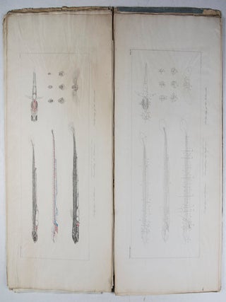 Histoire Naturelle des Poissons d'Eau Douce de l'Europe Centrale: Embryologie des Salmones