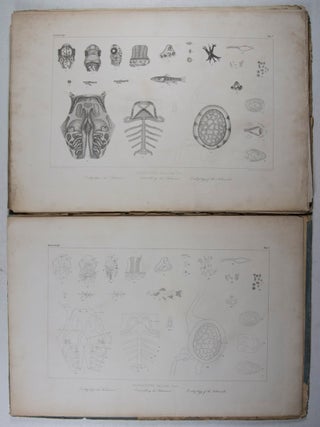 Histoire Naturelle des Poissons d'Eau Douce de l'Europe Centrale: Embryologie des Salmones