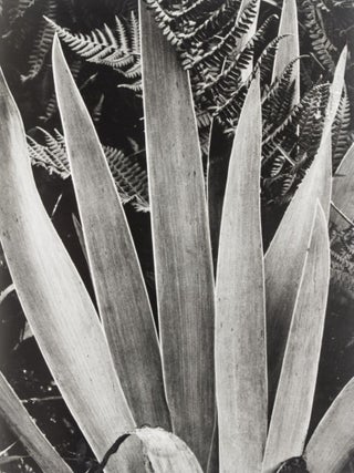 Item #38537 Time in New England. Paul Strand, Nancy Newhall, Paul Metcalf, Beaumont Newhall,...