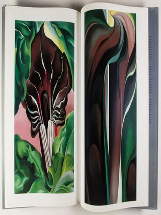 Georgia O'Keeffe: The New York Years; "America and Georgia O'Keeffe"