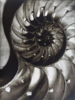 Item #41151 Patterns from Nature. Horst, Photographer