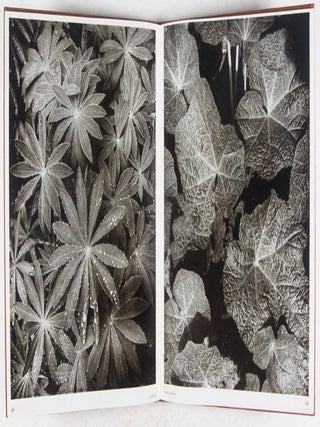 Patterns from Nature