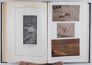 Chinesische Kunstgeschichte: Band I, Vorbuddhistische Zeit / Die hohe Kunst Malerei und Bildhauerei; Band II, Die Baukunst / Das Kunstgewerbe: Bronze, Töpferei, Steinarbeiten, Buch- und Kunstdruck, Stoffe, Lack- und Holzarbeiten, Glas, Glasschmelzen, Horn, Schildpatt, Bernstein und Elfenbein. 2-vol. set (Complete)