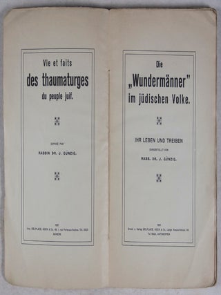 Die "Wundermänner" im jüdischen Volke: Ihr Leben und Treiben