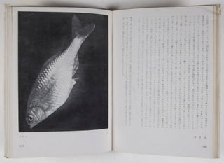 博物志 : 隨筆・写真 / Hakubutsushi: zuihitsu shashin (Records of Nature: Essays and Photographs)