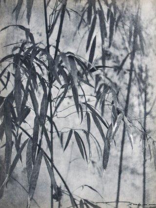 Photographie 1936