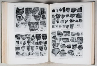 Excavations at Tepe Gawra (2 vols.)