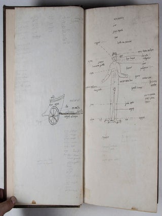 Lexicon Graeco-Latinum E Probatis Auctoribus Locupletatum, Cum Indicibus Auctis Et Correctis. Item Lexicon Etymologicum Cum Thematibus Investigatu Difficilioribus Et Anomalis, Et Jo. Meursii Glossarium Contractum. Indici Graeco Inseruntur Aliquot Verborum Millia E Scotto, Bastio, Aliisque. Accedunt Prisciani Lib. XVIII. Pars Posterior, Et Ammonius Peri Homoion Kai Diaphoron Lexeon E Cod. Ms. Reg. Musei Britannici Emendatus. Cum Opusculis Grammaticis Ex Edit. Valckenaerii.