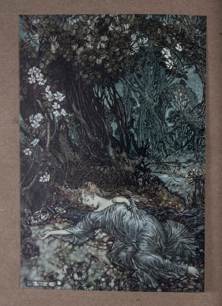 Item #43604 Le Songe d'Une Nuit d'Été (A Midsummer Night's dream). William Shakespeare, Arthur Rackham, Text by, Illustrations by.