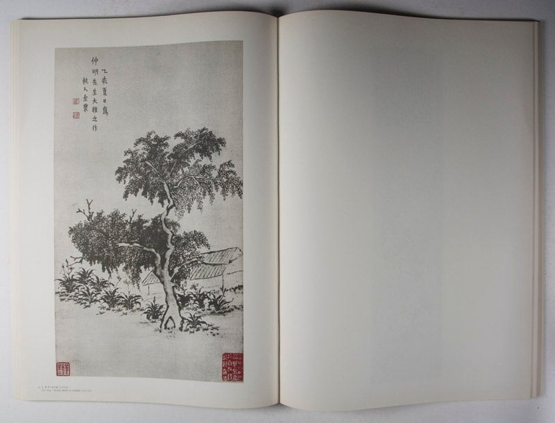 揚州八怪書畫集The Selected Painting and Calligraphy of the Eight Eccentrics of  Yangchow 歷代名畫家作品選集Selected Works of