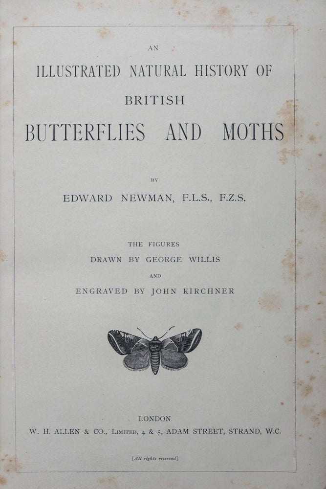 Item #44005 An Illustrated Natural History of British Butterflies and Moths. Edward Newman.