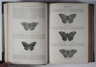 An Illustrated Natural History of British Butterflies and Moths