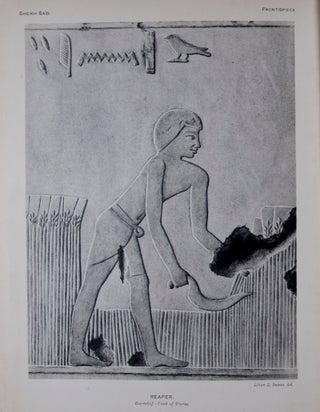 Item #44529 Archaeological Survey of Egypt: The Rock Tombs of Sheikh Saïd. N. de G. Davies
