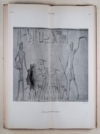 Archaeological Survey of Egypt: The Rock Tombs of Sheikh Saïd