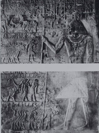 Archaeological Survey of Egypt: The Mastaba of Ptahhetep and Akhethetep at Saqqareh. 2 Vols.